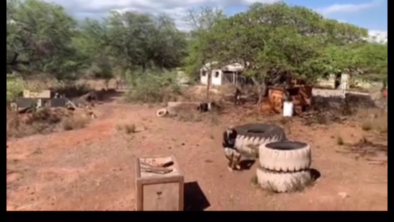 Testing out HPA Tapped Drum Mag M93R Dogs of War Airsoft CTF