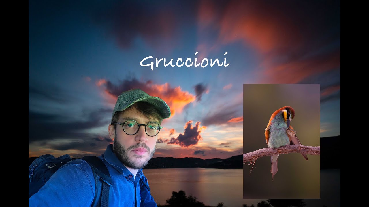 WILD ADVENTURE  - Birds Photography Gruccioni