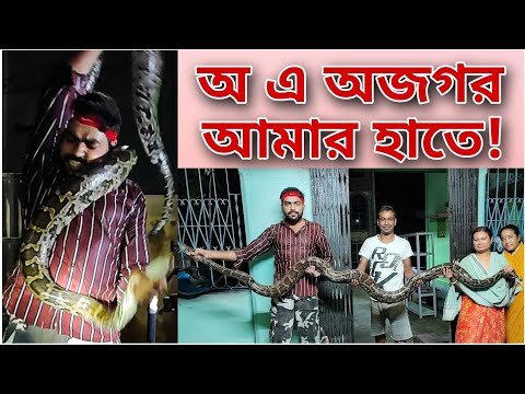 উদ্ধার করতে গিয়ে গলা পেঁচিয়ে ধরলো বিরাট অজগর! Huge Python grasped my neck! @SnakeSaverBrothers