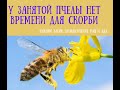 Емоції та війна. Відчуття часу.                                                #емоції #війна #життя