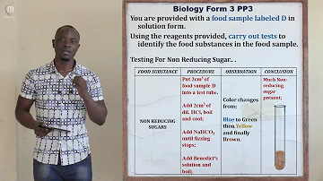 Biology Paper 3 and Experiments Form 3