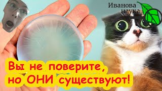видео: ВЫ НЕ ПОВЕРИТЕ, ЧТО ЭТО МОЖНО КУПИТЬ В ПРОСТОМ МАГАЗИНЕ! Мы купили пробиотик в садовом центре! картинка: ВЫ НЕ ПОВЕРИТЕ, ЧТО ЭТО МОЖНО КУПИТЬ В ПРОСТОМ МАГАЗИНЕ! Мы купили пробиотик в садовом центре!