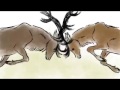 Animals animation