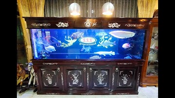 ปัณ ลูกหมาก 111 - งาน O4FS ตู้ปลาปอมด์ + ติดสกิมเมอร์บ่อปลาคาร์พ + เพิ่มเครื่องกรองตู้ปลามังกร Set 3