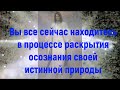 Иисус: Вы все сейчас находитесь в процессе раскрытия осознания своей истинной природы.