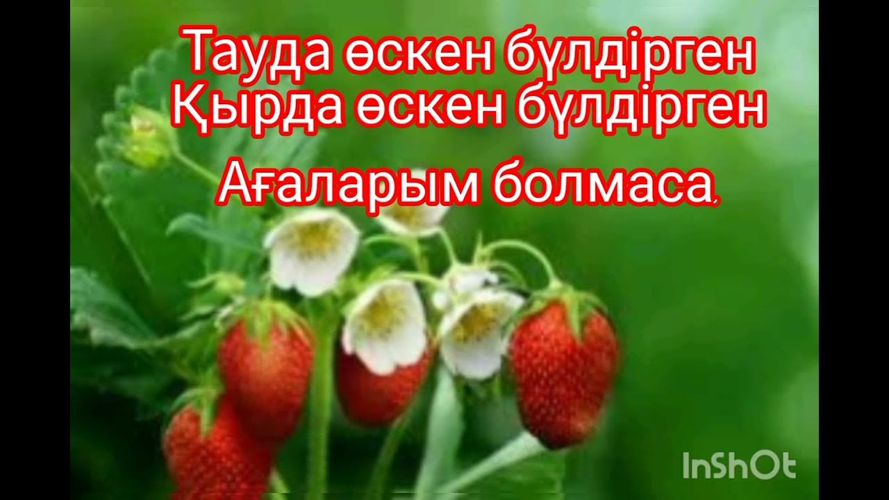 Смотреть Mask Show порно онлайн Атақты секс сапасы