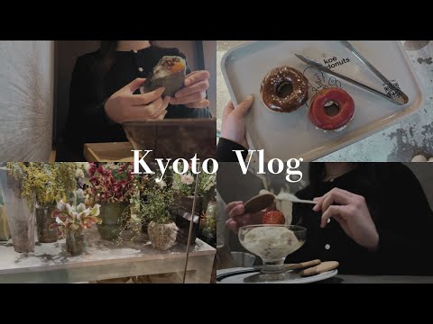 【京都Vlog】日常に小さな幸せを見つける京都旅🤍