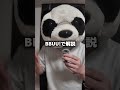 PLAVEハマりかけパンダのプレゼン#韓国オタク #韓国アイドル