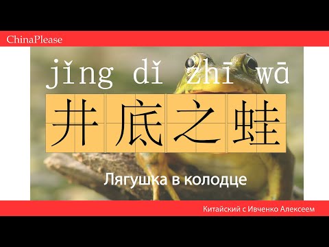 Китайские идиомы (成语) #8. 井底之蛙 - лягушка на дне колодца