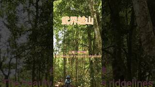 武界越山 #beautiful #natural #travel #drone #explore #zeenweb #taiwan #埔里六秀 #武界越山