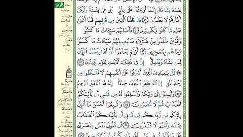 الصفحة (464) من المصحف الشريف ( سورة الزمر - مشروع حفظ القرآن الكريم )