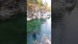 Девичьи плёсы река Кумир Алтайский край чарышский район