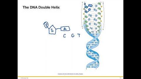 Introduction to Human Genetics