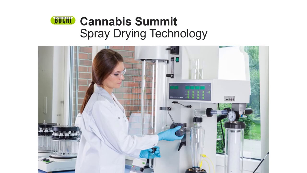 Webinar Büchi sobre Cannabis: Secado por aspersión