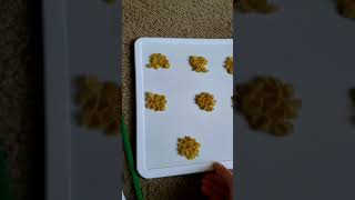 Math - module 5 lesson 15 Part 1