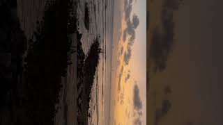 Views 😍#beach #love #lofi #vibes #peace
