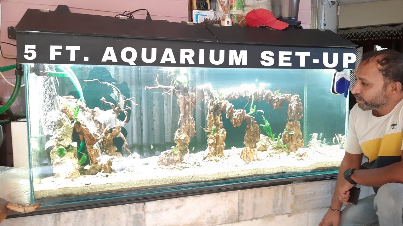 How To Setup 5 feet Aquarium Tank with SANDFALL Dreamz Aquarium