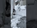 融雪水のパワーが強すぎてあばれる