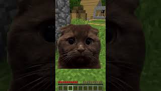 Meme Cats and Dogs: The Pets are Out of Water! part 92 in Minecraft