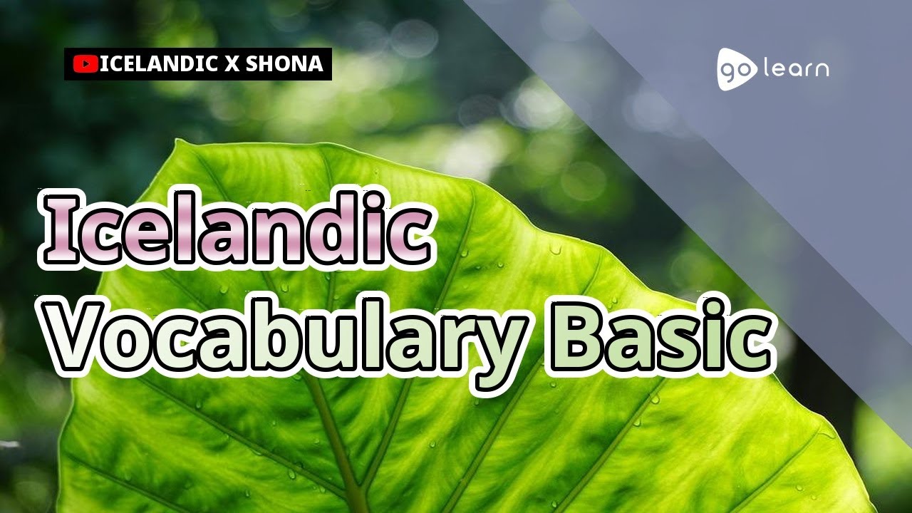 Icelandic Vocabulary Basic | Golearn