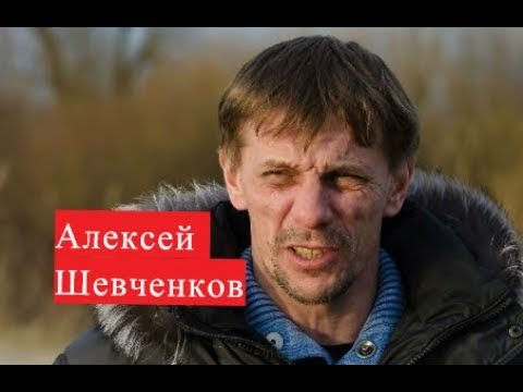 Видео: Алексей Шевченков: биография, филми