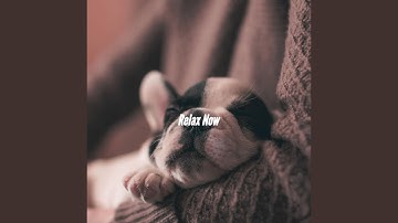 High-class Backdrops for Throwback Fall