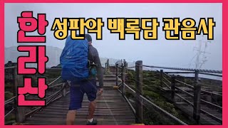 세계자연유산 한라산 #한라산백록담 #대중교통