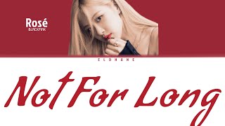 Blackpink Rosé - Not For Long Cover with Lyrics