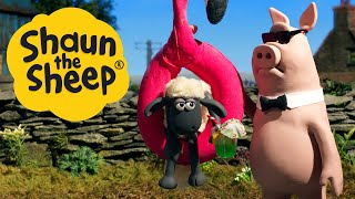 Shaun the Sheep Season 6 (Clip) | Prize Porker