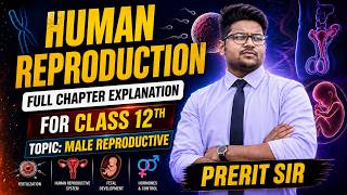 12th-BIO | Ch-2 Human reproduction | Male Reproductive | Part-1 | Ft. Prerit Sir | 4D