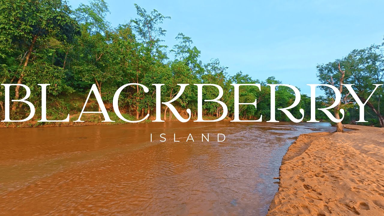 I Explored a Hidden Island in Wildlife Sanctuary