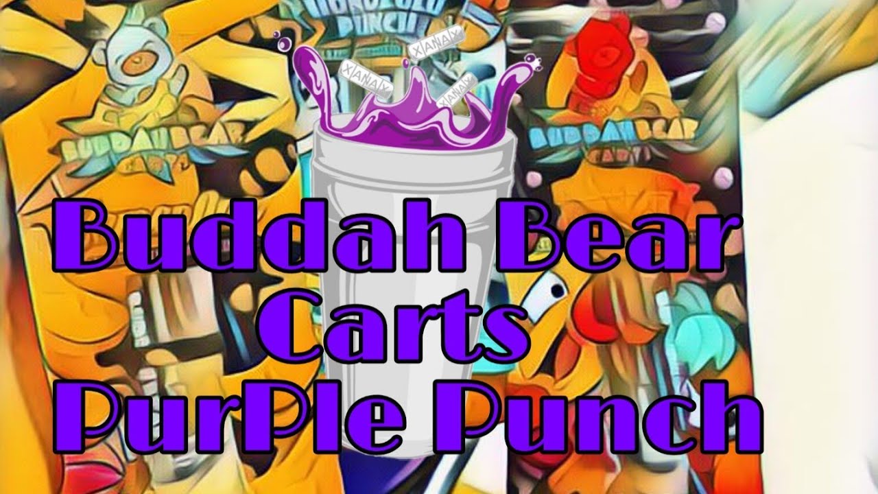 Buddah Bear Carts Purple Punch Full Review  