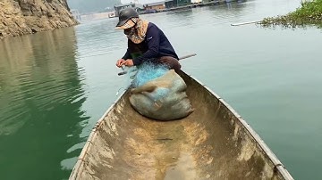 Thăm Lưới dính cá chép khủng￼