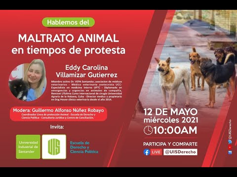 Video: Recolección de mascotas: lleva a tu perro al trabajo y frena el estrés, los activistas protestan contra los pollitos de pascua de color