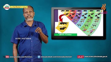 KITE VICTERS STD 08 Biology Class 17 (First Bell-ഫസ്റ്റ് ബെല്‍)