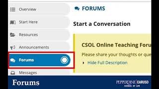 CSOL Course Site Intro Video