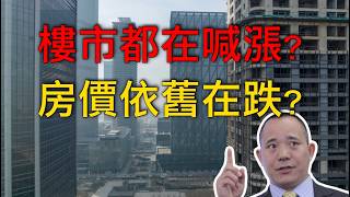 楼市回暖只是假象？房价为何仍在下跌？最新数据揭真相｜向松祚