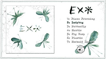 EXO - Exo (Usa, Full Album, La Vida Es Un Mus 2025)