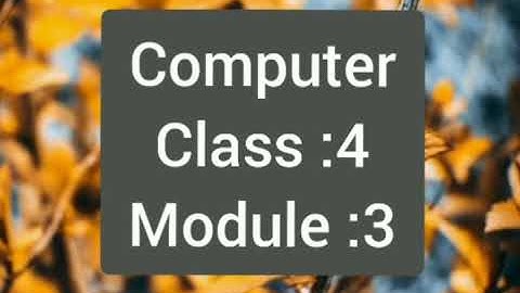 COMPUTER - CLASS 4 - MODULE 3 - LESSON 11
