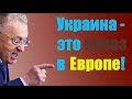 Жириновский: "Мы будем ВЫНУЖДЕНЫ ответить!"