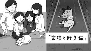 家猫と野良猫【猫の絵本】