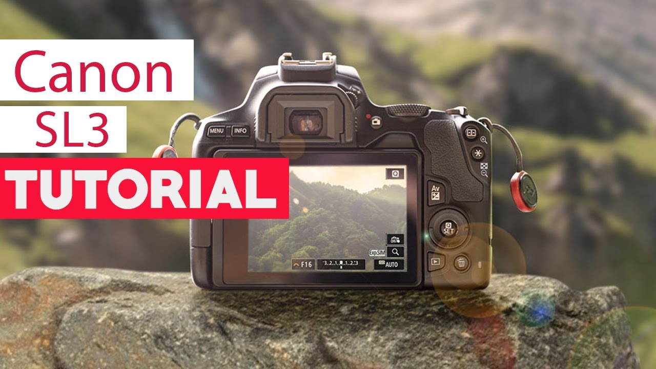 Canon SL3 Tutorial - Beginners Guide - YouTube