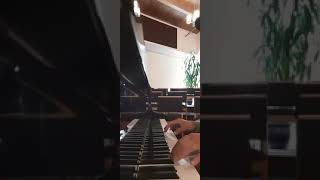 Sims 4 - Need More Information (piano)