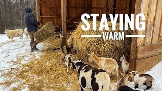 Keeping Our Animals Safe | Winter Storm Preparations