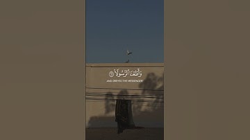 القارئ سعد الغامدي |  سورة الأحزاب