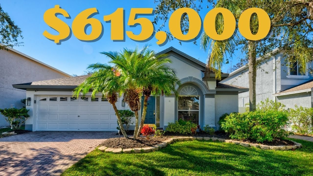 Tour this Newly Listed Home in Oldsmar, Florida! YouTube