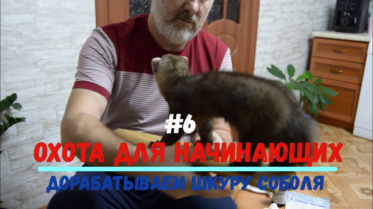 Промысловая охота для начинающих.Доработка шкуры соболя.Перевозка лыж и ...