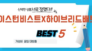 이스턴비스트X하이브리드배트 후기 리뷰 추천 TOP5