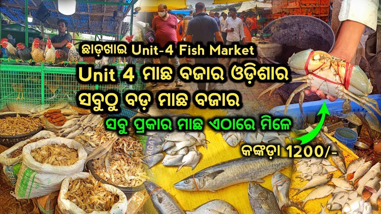 Unit 4 Bhubaneswar Non Veg Market ଛଡାଖାଇ ରେ ଅସମ୍ଭାଳ ଭିଡ Fish Market