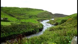 Celtic Music - The Blackthorn Stick/Kesh Jig chords